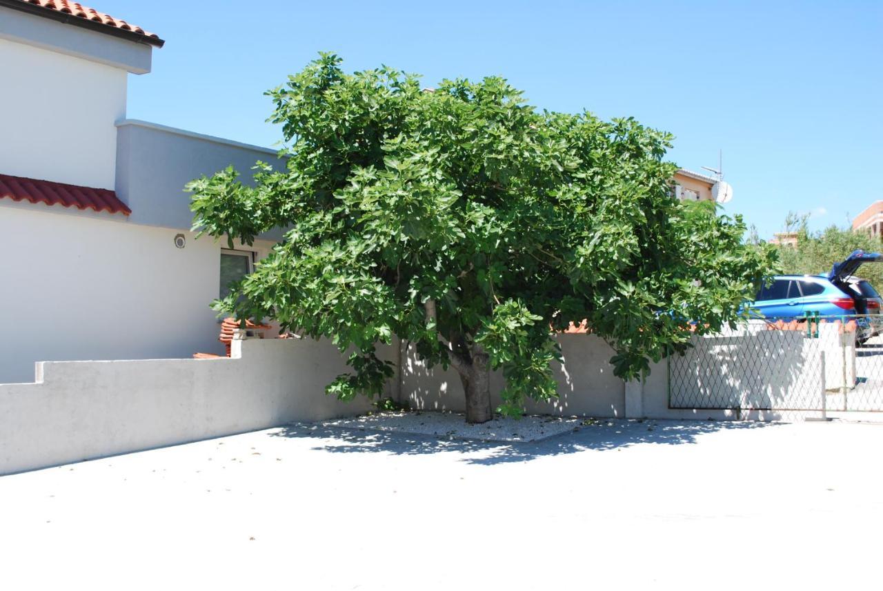 Villa Sabina - Apartments Kroatien Razanac Exterior photo